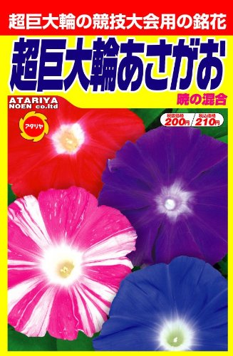 Amazon | アタリヤ農園 種 超巨大輪あさがお 暁の混合 1.5ml | 花